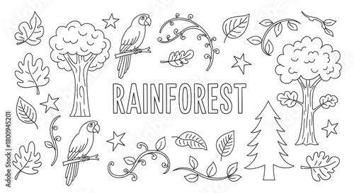 A charming black and white line art collection of rainforest elements including parrots, trees, and leaves, perfect for a children's coloring book or educational activity page