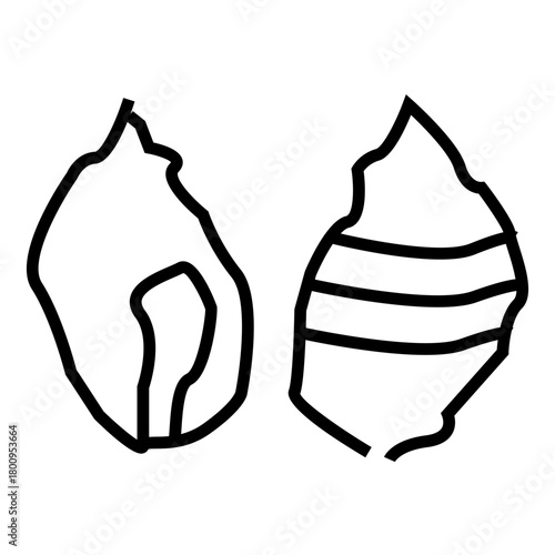 shell sea animal ocean outline icon vector illustration