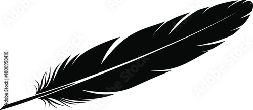 A single black feather resting diagonally against a plain white background