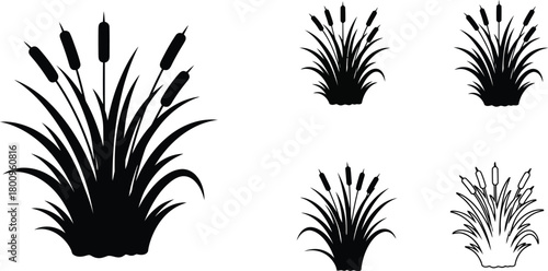 Black and white illustration of cattails and reed plants in various arrangements