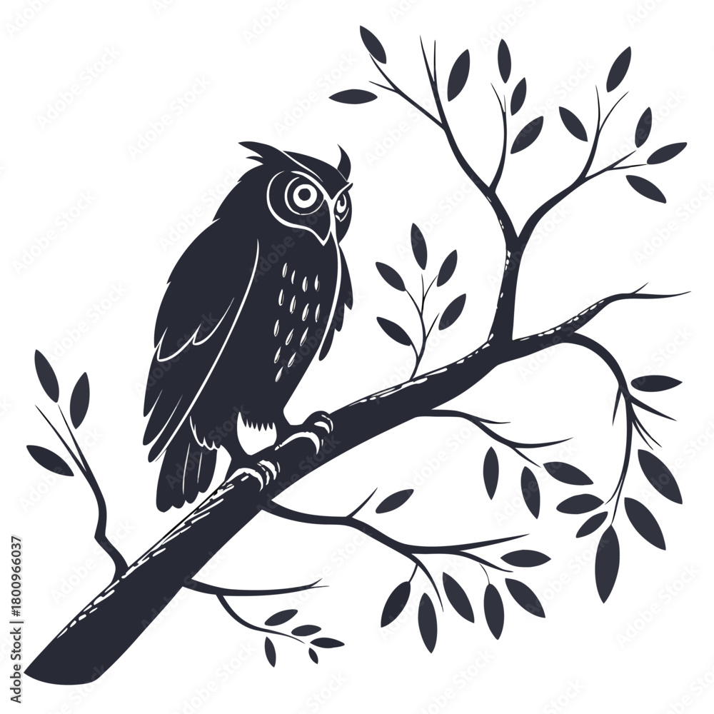Fototapeta premium owl on branch