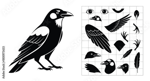 Black silhouette of a magpie with a set of its parts for assembly, isolated on