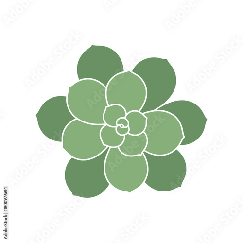 Stylized succulent plant illustration in a minimalist, geometric design with green hues