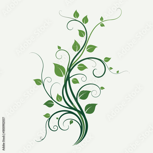 Elegant Green Leaf Vine Design for Nature-Inspired Decor.