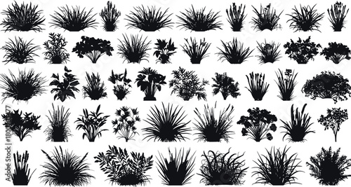 Bush grass botanical shrub plant silhouette vector set, garden landscape foliage meadow floral leaf wild nature illustration collection.