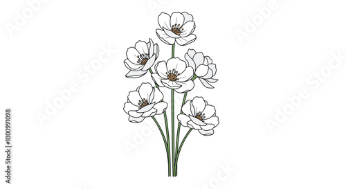 A simple and elegant illustration featuring a bouquet of white flowers with delicate petals and green stems, set against a clean background.