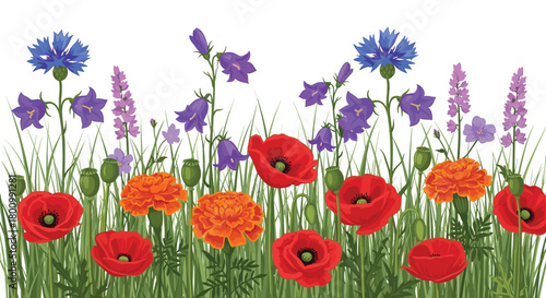 Vibrant illustration of a colorful wild flower border featuring poppies, cornflowers, bellflowers, and marigolds blooming in green grass on a white background.