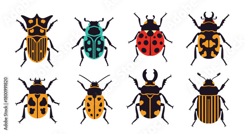 A diverse collection of eight colorful beetle illustrations, featuring various species with unique patterns and distinct shapes.