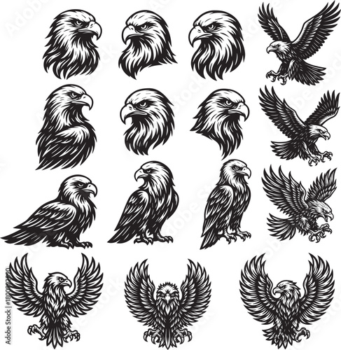 Eagles SVG Bundle