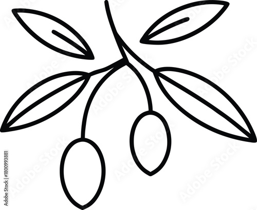 Olive harvest scene line art transparent background
