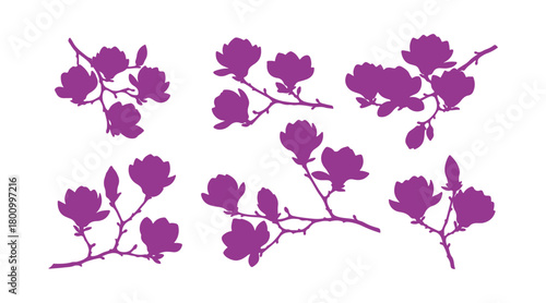 A collection of magnolia twigs in bloom, featuring vibrant flowers isolated on a white backdrop.