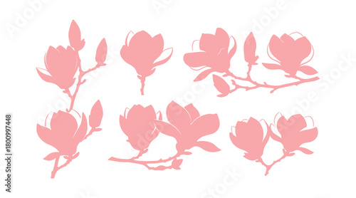 A bunch of blooming magnolia twigs with colorful flowers, set against a white background.
