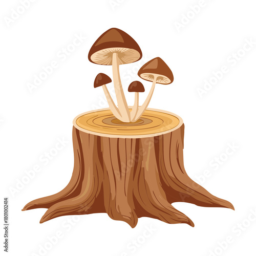 Detailed Close-up of a Tree Stump with Three Mushroom Plant Fungi, Natural Forest Woodland Element on White Background