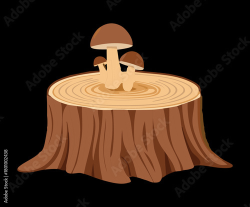 Close-up of a Large Tree Stump with Three Mushroom Plant Fungi, Natural Forest Woodland Element on Black Background