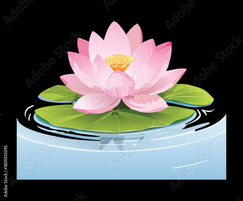Beautiful pink water lily flower with lush green pads, creating a peaceful and soothing visual on the gentle, rippling water surface plant
