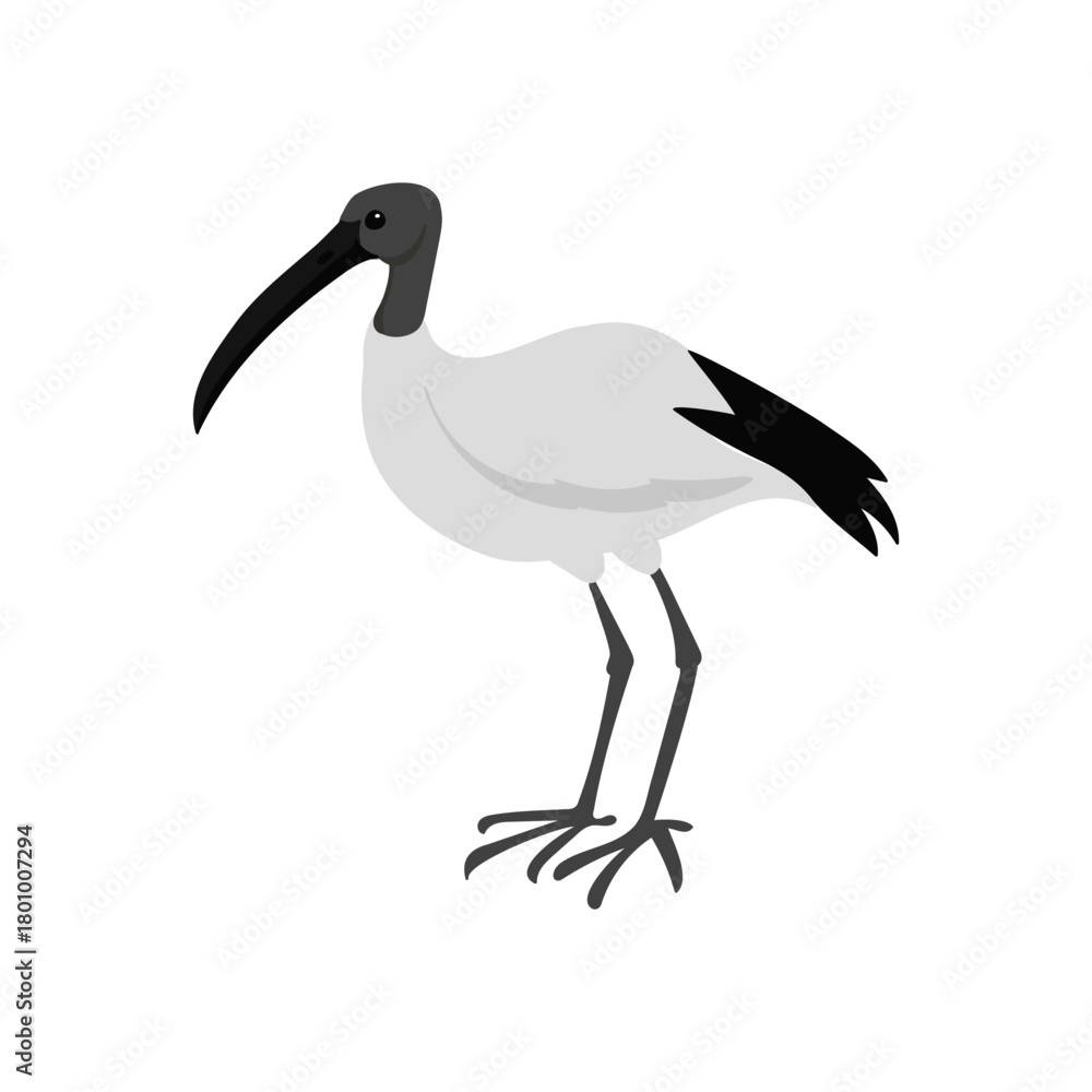 Obraz premium vector drawing bird, , hand drawn , isolated nature design elements