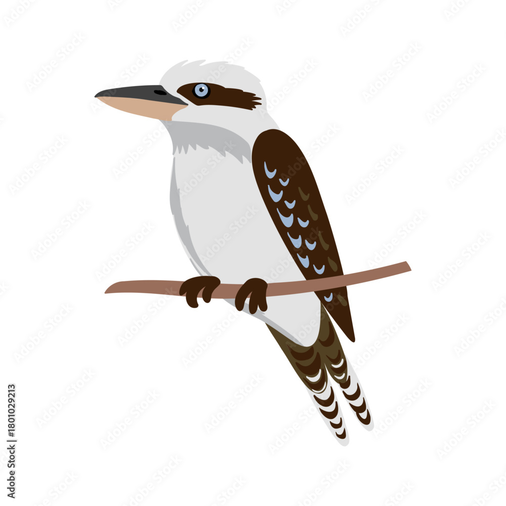 Naklejka premium vector drawing bird, laughing kookaburra, hand drawn Dacelo novaeguineae, isolated nature design elements