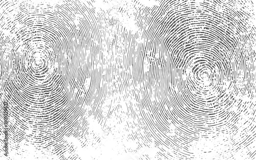 Vector black fingerprint on white Transparent background. Detailed fingerprint on grunge background symbolizing identity verification