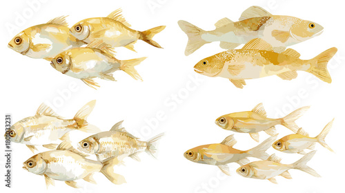 A soft watercolor illustration of golden fish in gentle natural tones showing swimming groups with delicate aquatic details.