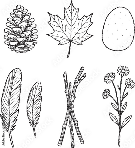 Woodland nature sketch collection sheet