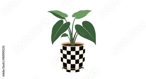 A stylish green houseplant with broad leaves sits in a modern black and white checkered pot, adding a touch of contemporary decor.