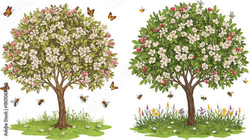 Blossoming apple trees with bees and butterflies, spring garden illustration, blooming flowers and pollination nature scene, floral tree artwork design