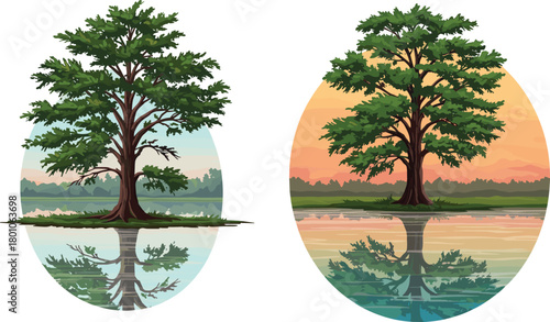 Lone tree reflection in calm lake water during sunset and sunrise, nature landscape illustration, peaceful scenery artwork design