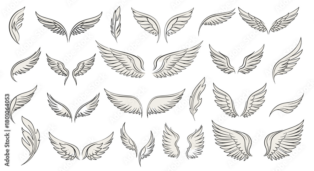 Fototapeta premium Collection of hand-drawn angel or bird wings in various styles, isolated on a white background.