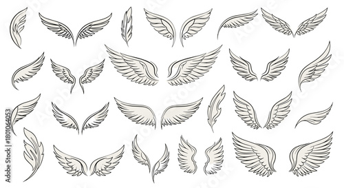 Collection of hand-drawn angel or bird wings in various styles, isolated on a white background.