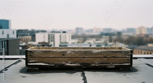 Wooden Box on Rooftop Overlooking Cityscape.