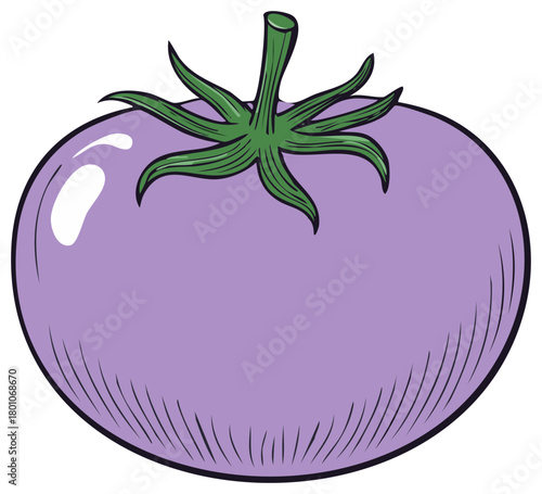 Isolated vector illustration of a fresh purple tomato with green stem and leaves