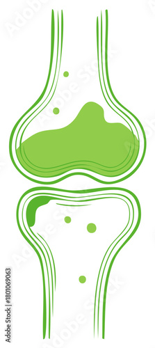 Simple vector illustration of a healthy human bone joint cross section for medical concepts