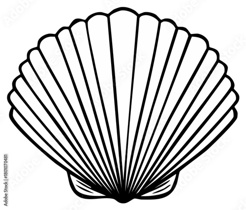 Isolated Seashell Vector Illustration of Scallop Shell with Simple Black Outline