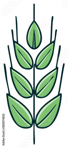Stylized green wheat stalk with leaves and slender stems a simple organic illustration