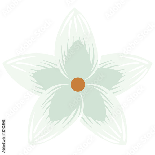 A Delicate White Flower With Five Petals Featuring A Brown Center Against A Transparent Background With Subtle Green Hues In The Petals Perfect For Digital Design And Graphic Applications