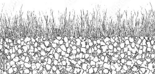 Black and white illustration of grass blades above rocky soil cross section stalks green