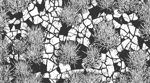 Black and white illustration of dry cracked earth with sparse grass tufts texture