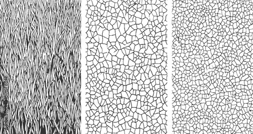 Black and white abstract patterns of grass blades and cracked earth textures vector