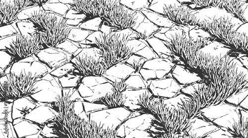 Black and white graphic of dry cracked earth with sparse grass tufts ground soil