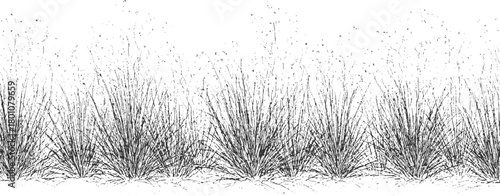 Black and white illustration of dense grass clumps against a white background field meadow