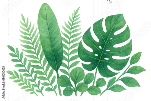 green leaves isolated on white