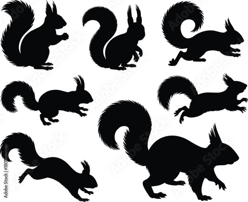 Squirrel silhouette set, dynamic animal poses, bushy tail vector, leaping and sitting motion, black wildlife illustration, forest creature