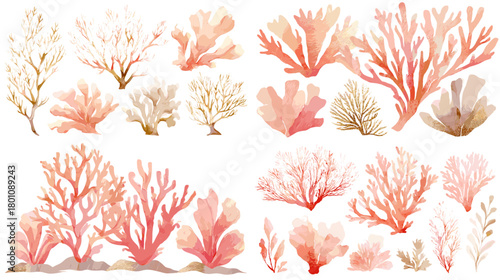 Watercolor coral elements set in peach and rose shades. Delicate branches and fans, isolated on white for wedding invites, patterns, frames, and coastal decor.