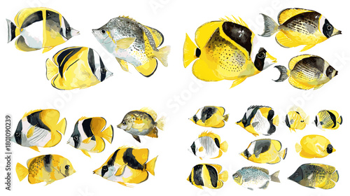Watercolor tropical bannerfish with bold yellow, black, and white stripes. Groups of reef fish painted in clean style, isolated on white for nautical patterns, posters, and modern decor.