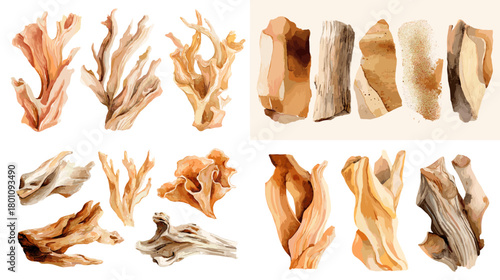 Watercolor driftwood sculptures and stones in warm sand tones. Organic wood shapes painted softly, isolated on white for modern coastal decor, posters, crafts, and branding.