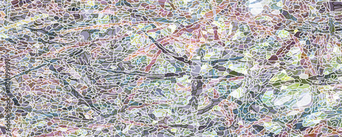 A backdrop of foliage behind a high contrast image of naked tree branches is lyrical and ambiguous, and makes a strong semi-abstract background.