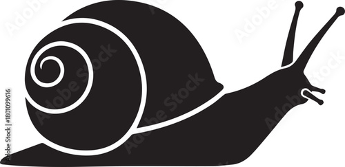 Black silhouette of a snail with spiral shell on white background