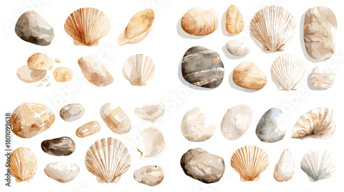 Watercolor seashells and beach stones in neutral tones. Scallops, clams, and pebbles hand painted, isolated on white for patterns, cards, and coastal home decor.