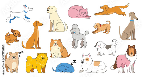 set of funny dog animals