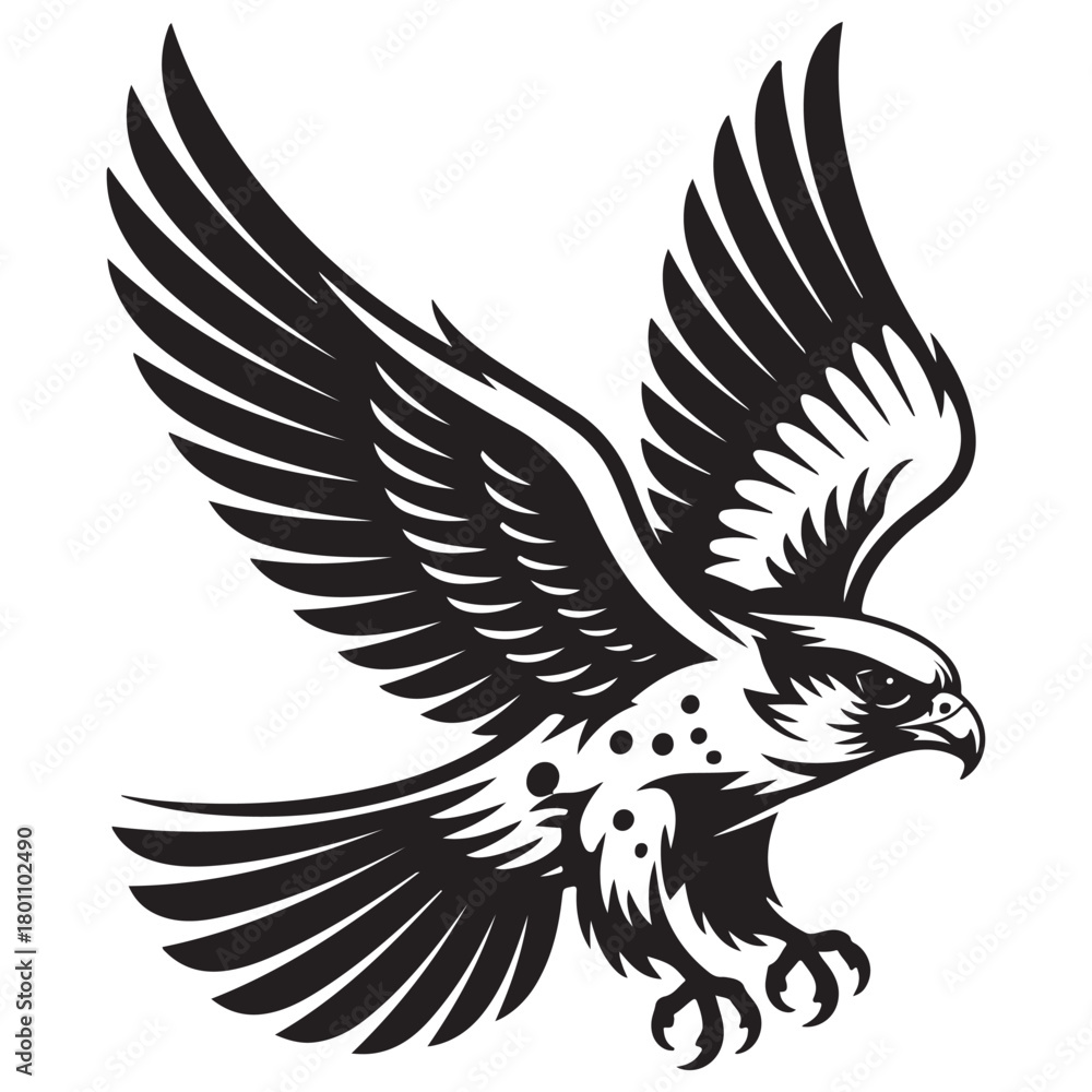 Obraz premium Monochrome Flying Eagle Vector Art with Spread Wings and Talons